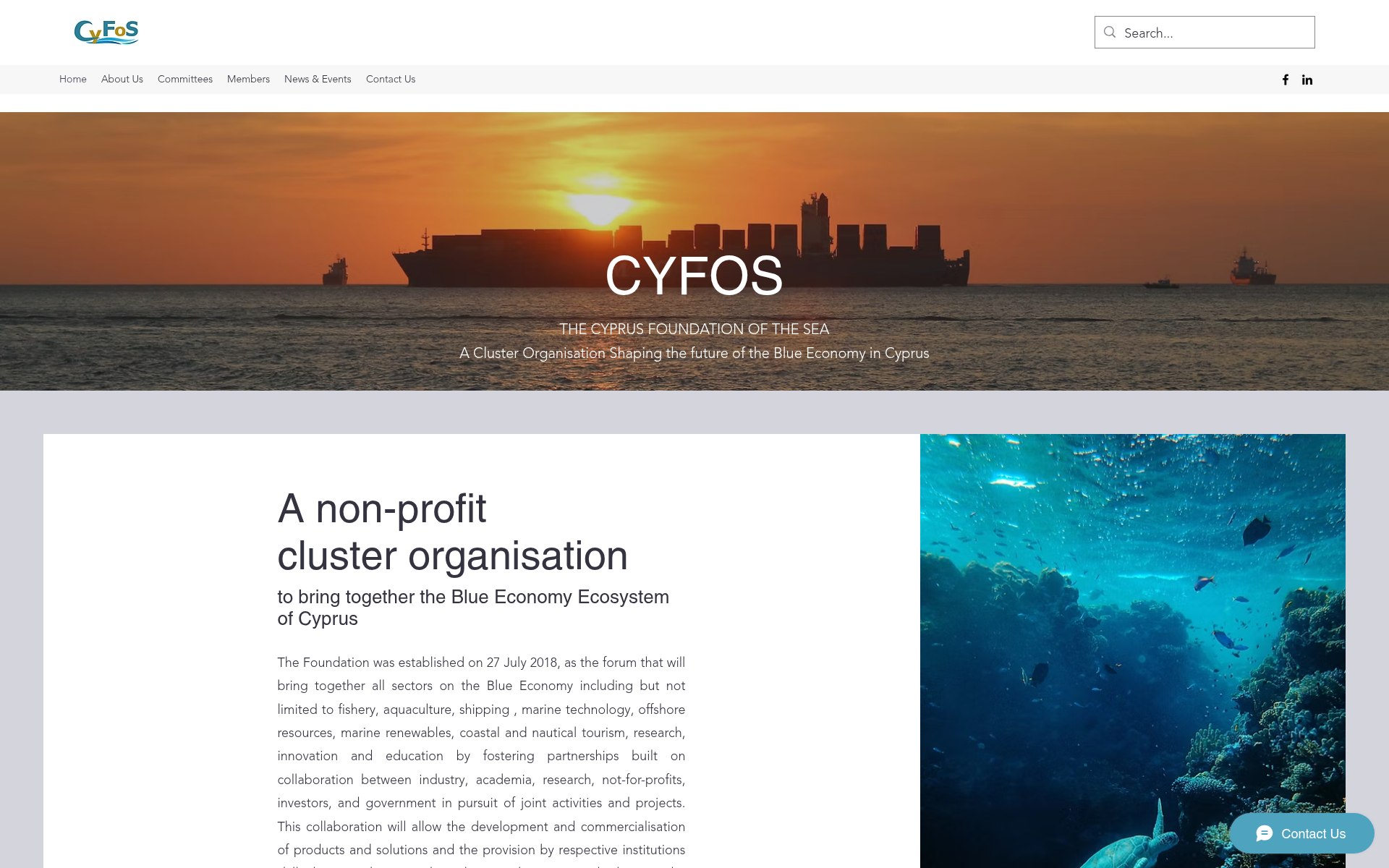 Screenshot of cyfos.blue