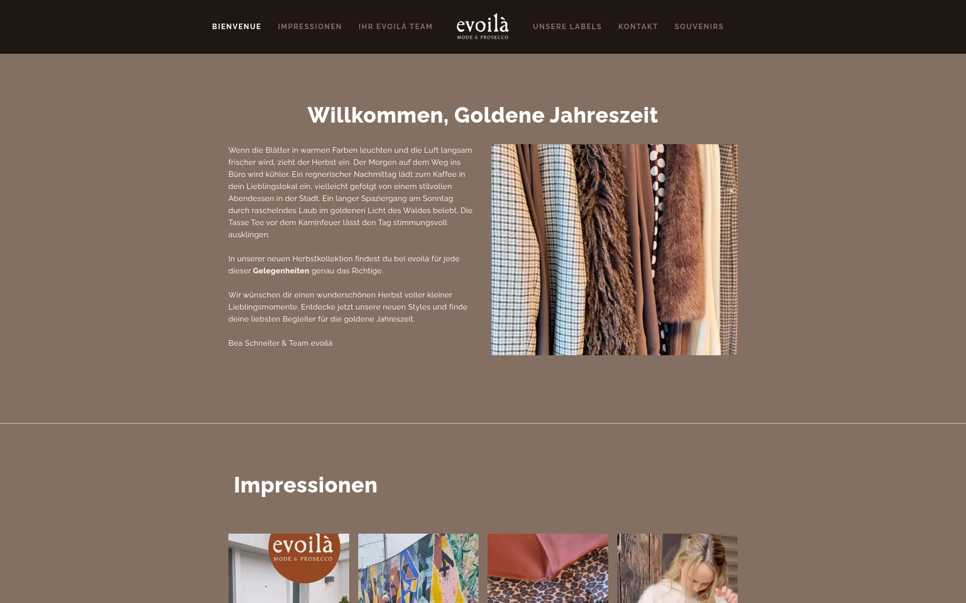 Screenshot of evoila.boutique