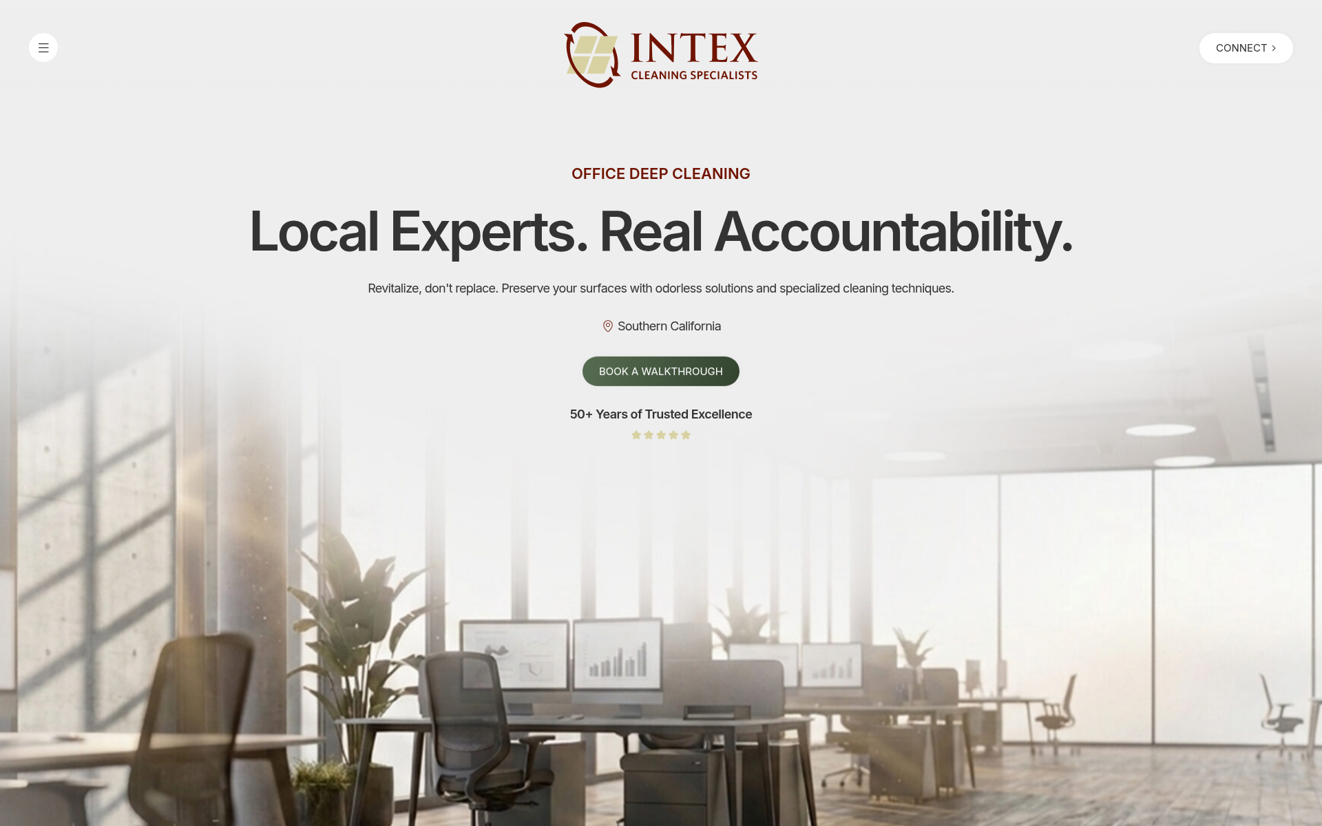 Screenshot of intex.cleaning