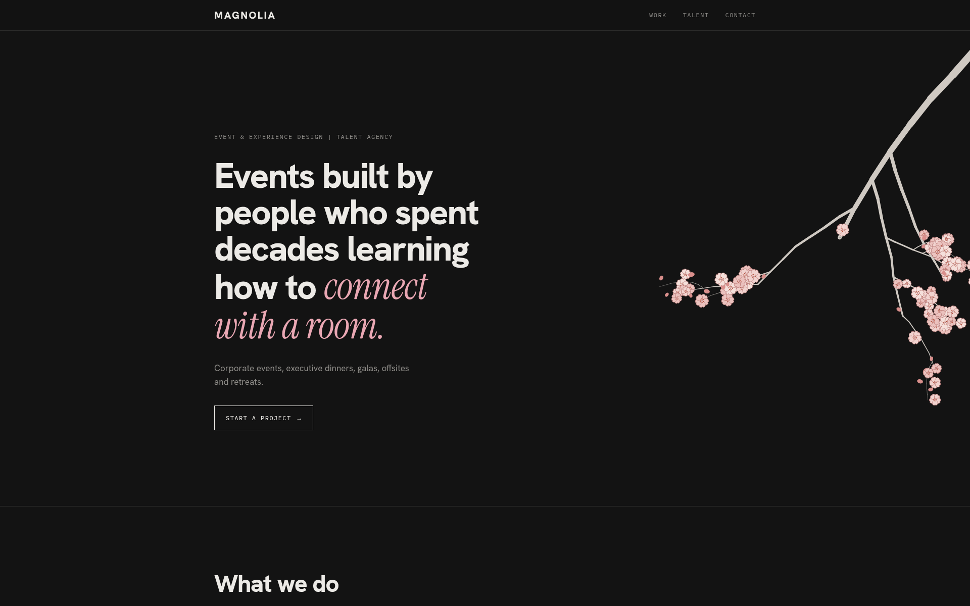 Screenshot of magx.agency