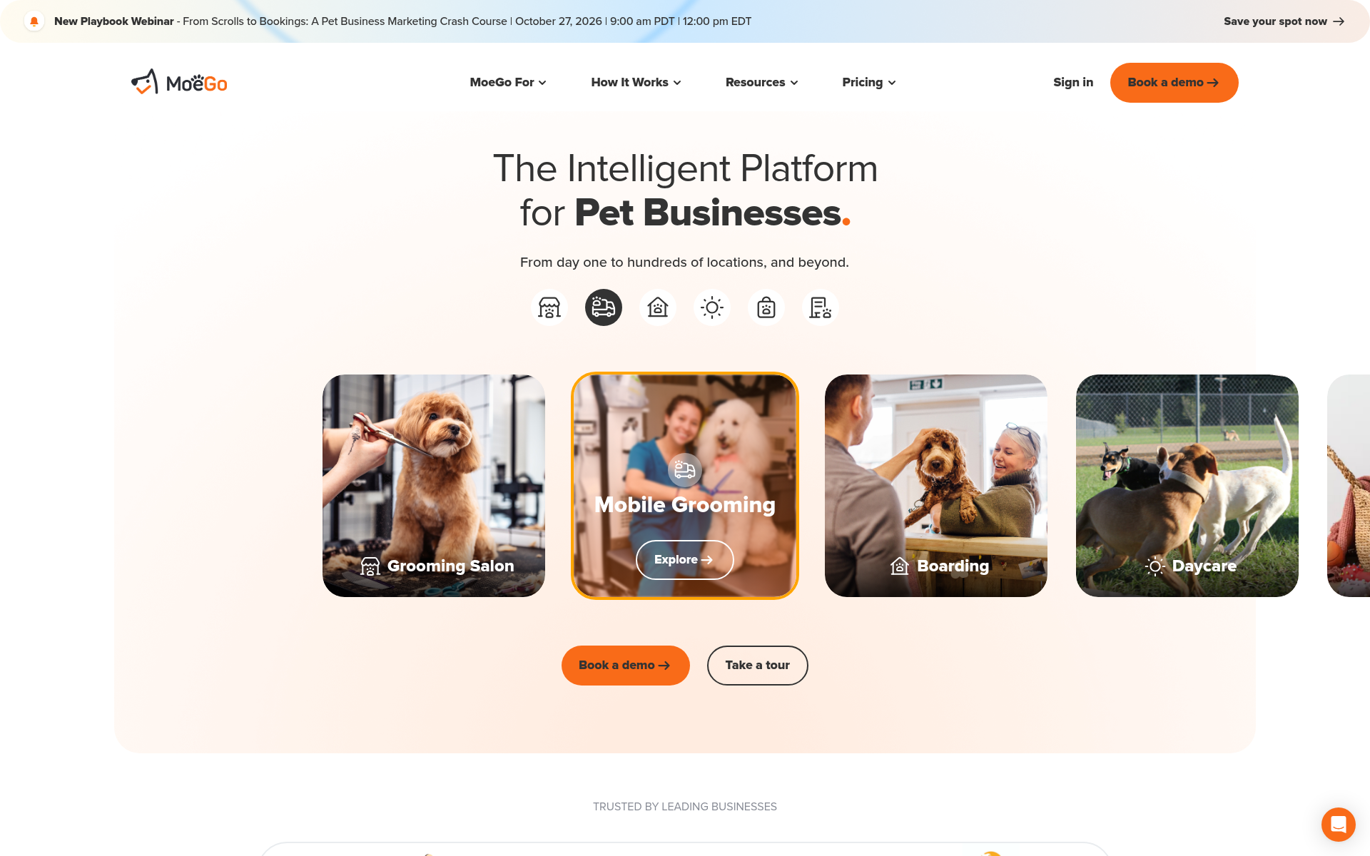 Screenshot of moego.pet
