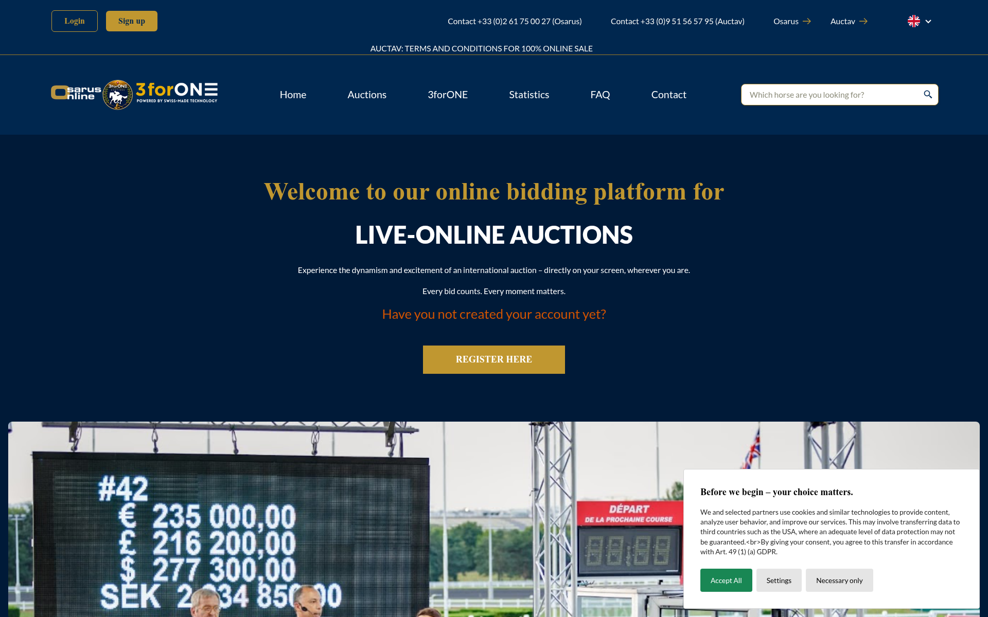 Screenshot of osarus.auction