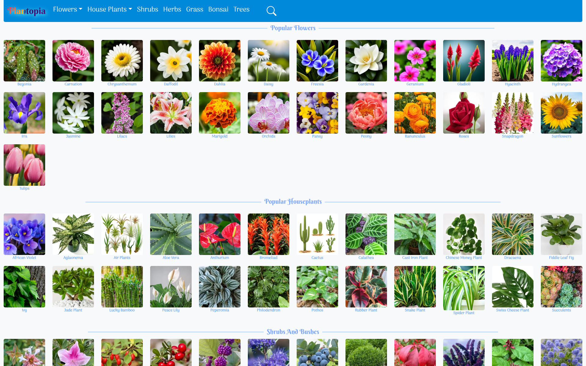 Screenshot of plantopia.video