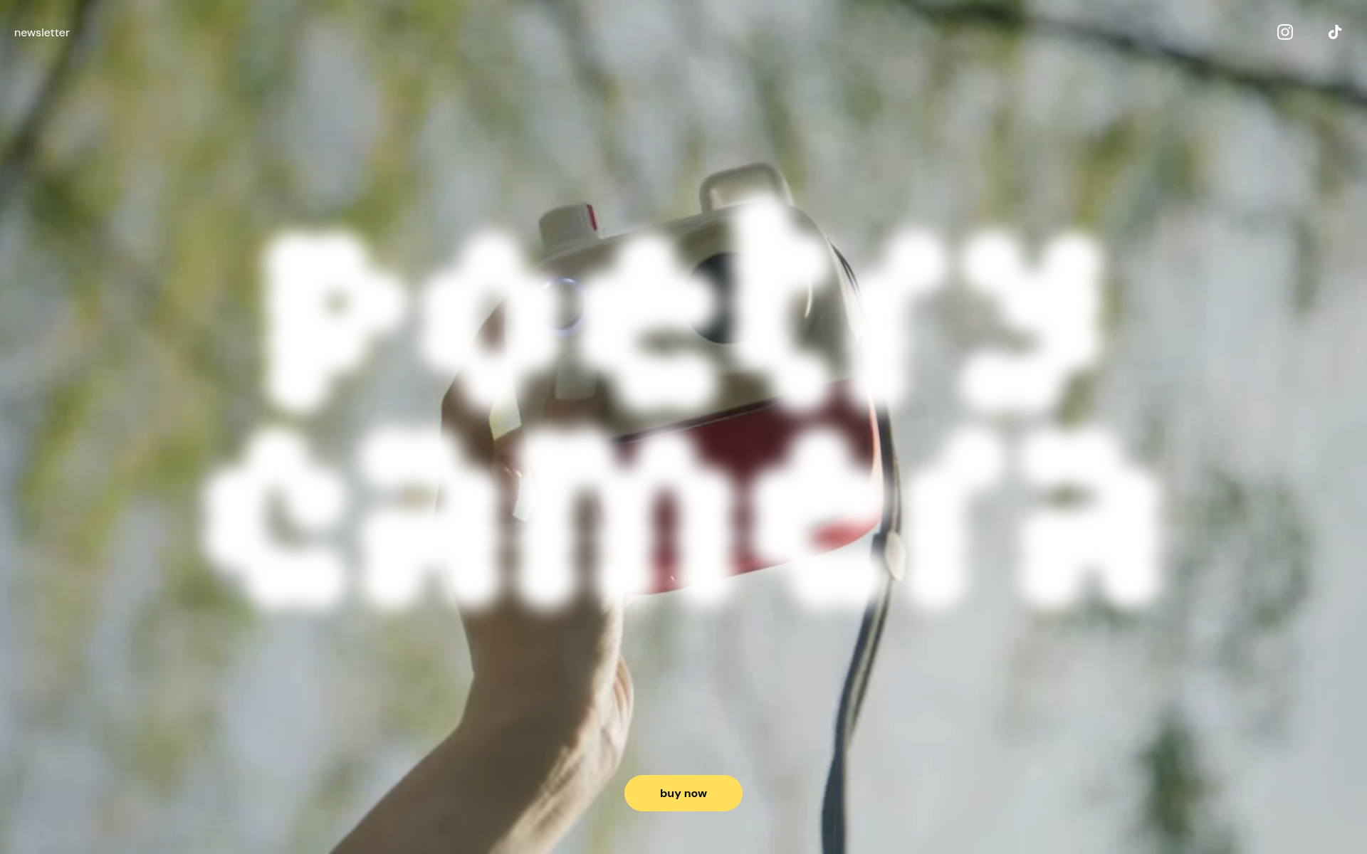 Screenshot of poetry.camera