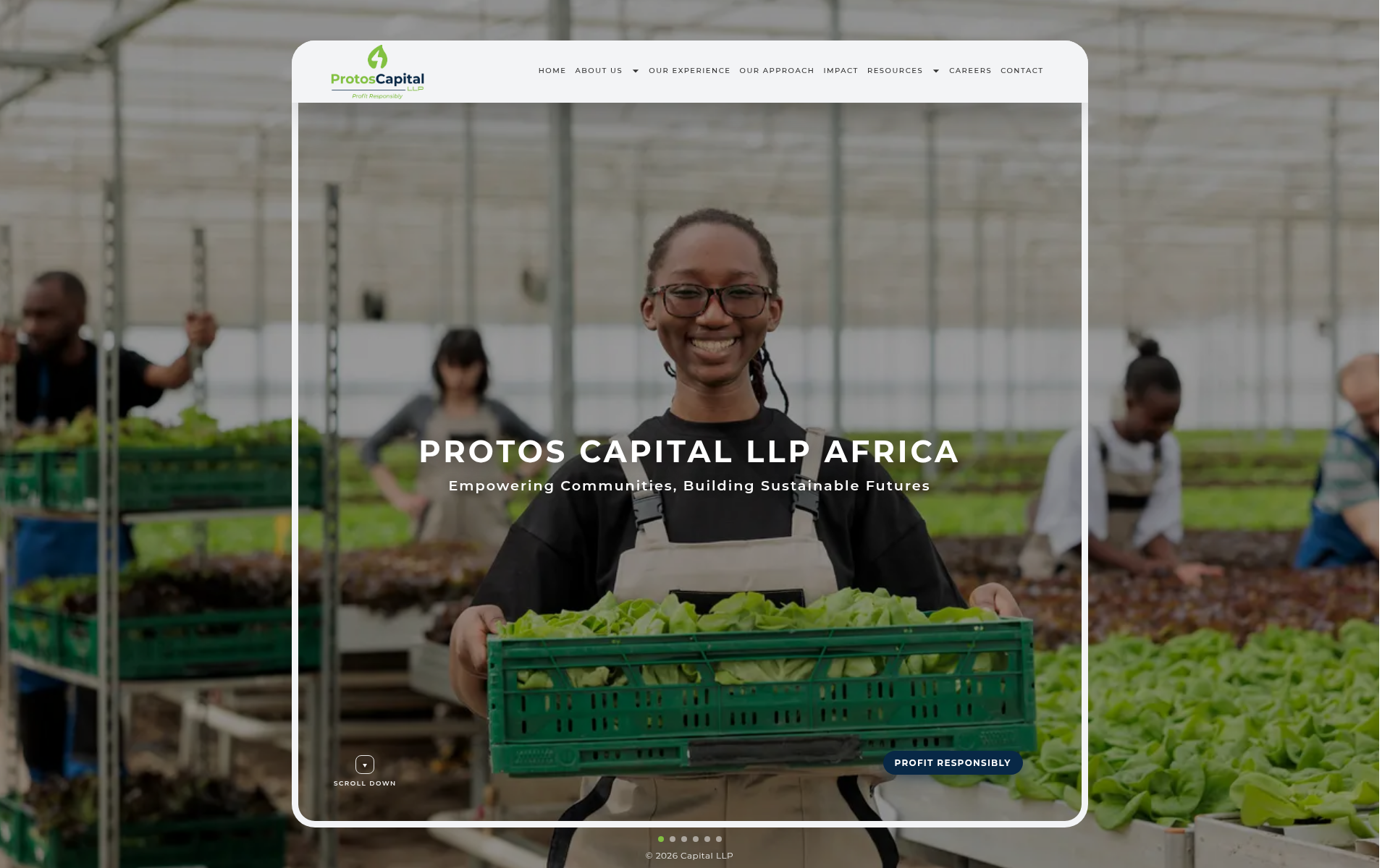 Screenshot of protos.capital