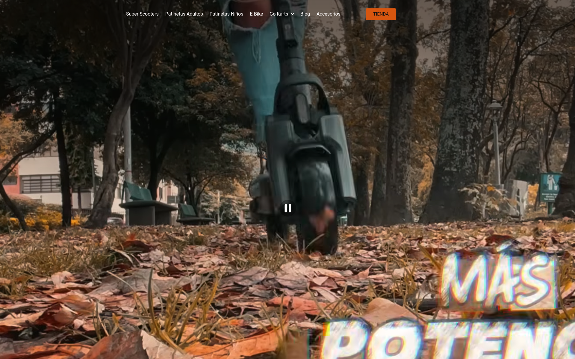 Screenshot of segway.center