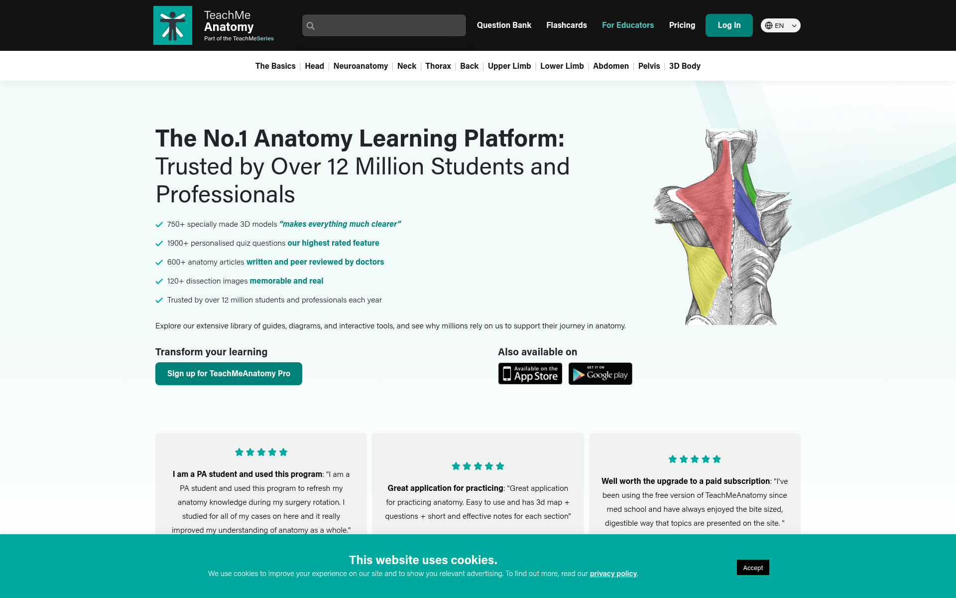Screenshot of teachmeanatomy.info