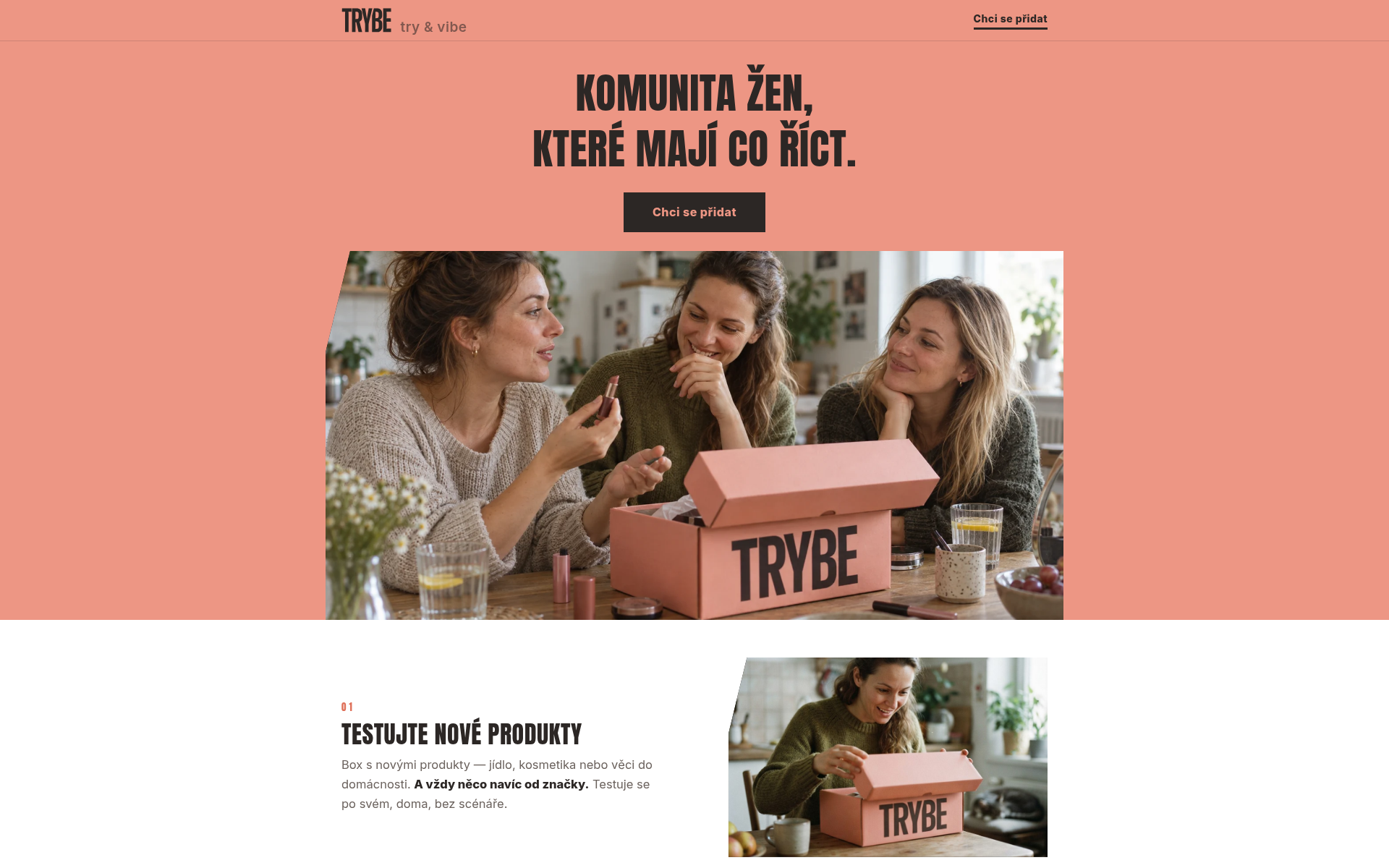 Screenshot of trybe.chat