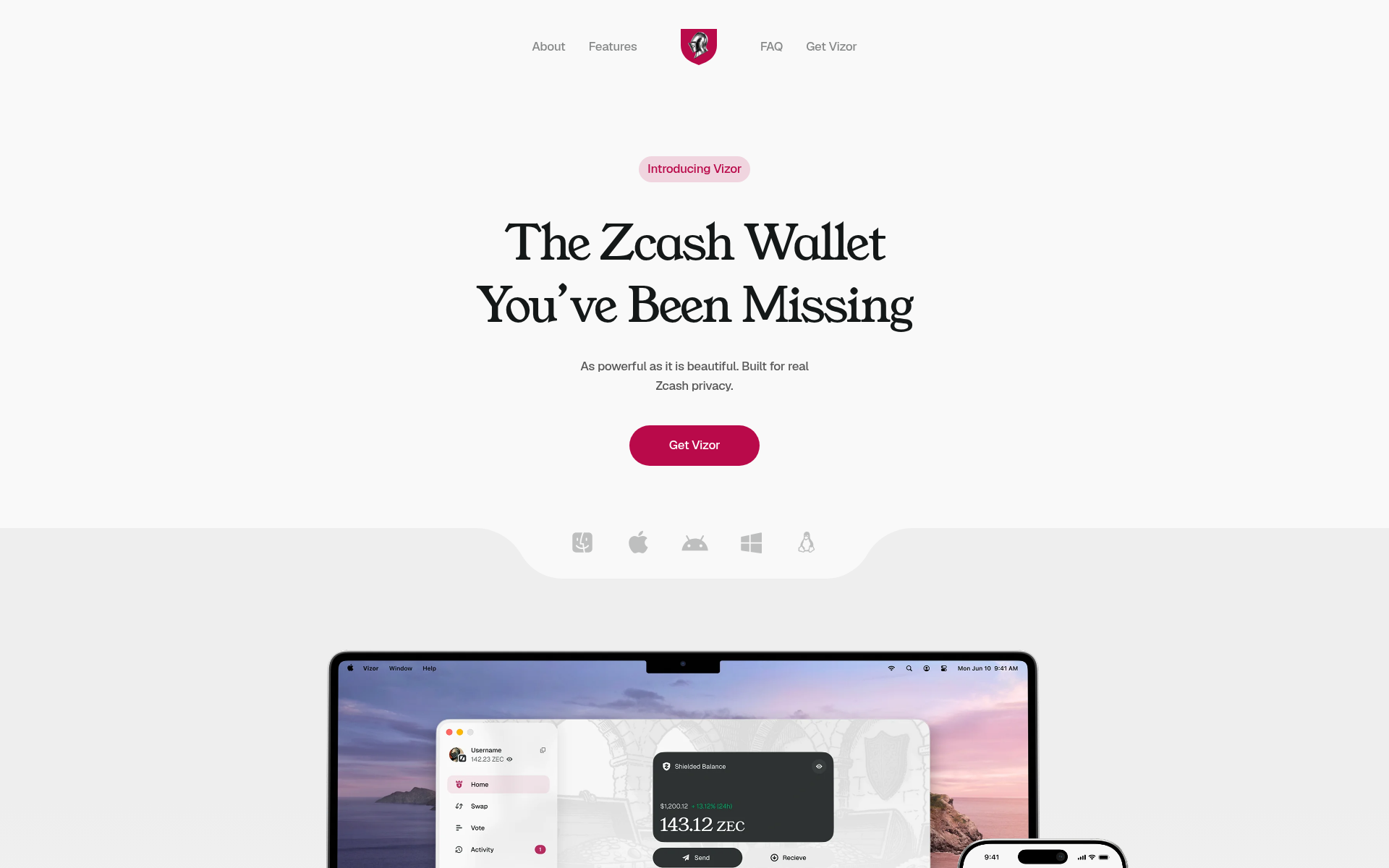 Screenshot of vizor.cash